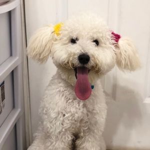 Meet your Posher, Brianna